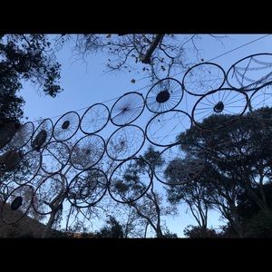 Meet your Posher, Alli